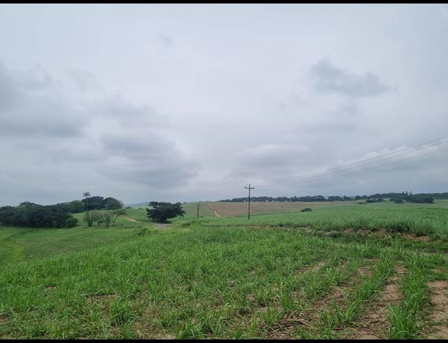 80,000M² VACANT LAND FOR SALE IN SHAKASKRAAL